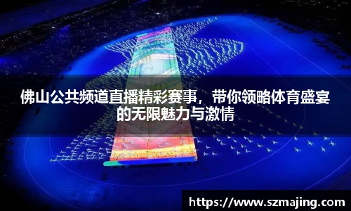 佛山公共频道直播精彩赛事，带你领略体育盛宴的无限魅力与激情