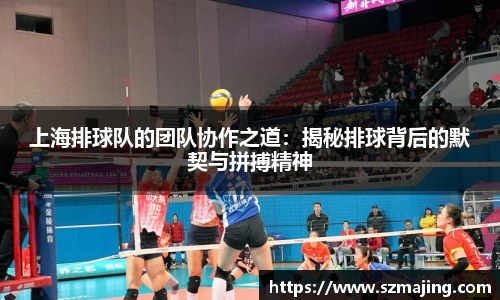 上海排球队的团队协作之道：揭秘排球背后的默契与拼搏精神