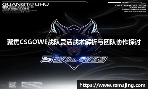聚焦CSGOWE战队灵活战术解析与团队协作探讨