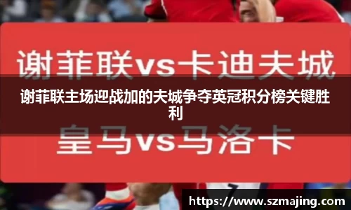 谢菲联主场迎战加的夫城争夺英冠积分榜关键胜利