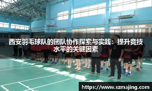 西安羽毛球队的团队协作探索与实践：提升竞技水平的关键因素